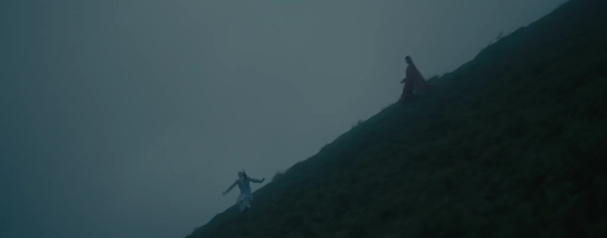 Two figures on a steep hillside lost in blue fog