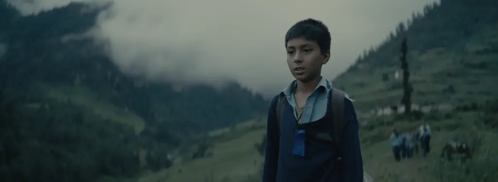 A boy in a blue jacket standing in a mountain valley